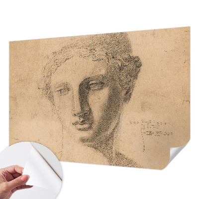 Självhäftande fototapet Kvinnligt porträtt