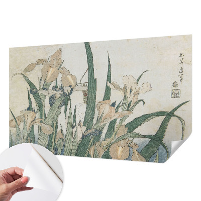 Självhäftande fototapet med delikata iris-motiv