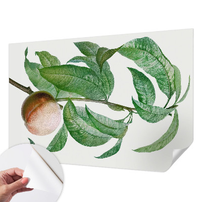 Fototapet barnrum med mognande persikmotiv