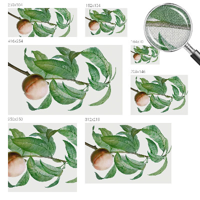 Fototapet barnrum Mogen persika