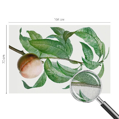 Fototapet barnrum Mogen persika