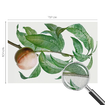 Fototapet barnrum Mogen persika