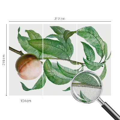 Fototapet barnrum Mogen persika