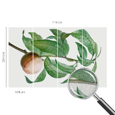 Fototapet barnrum Mogen persika