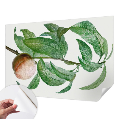 Fototapet barnrum Mogen persika