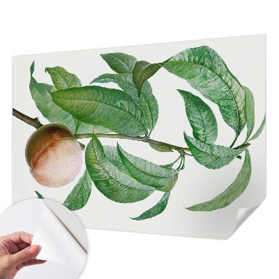 Fototapet barnrum med mognande persikmotiv