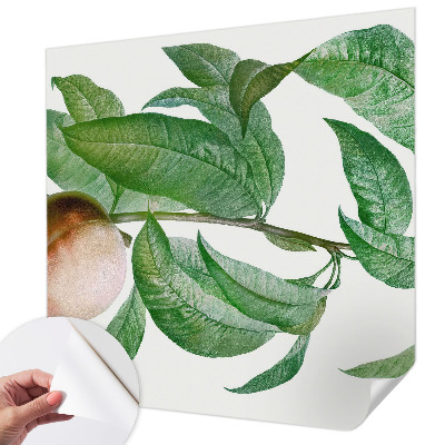 Fototapet barnrum Mogen persika