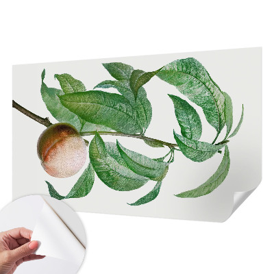 Fototapet barnrum Mogen persika