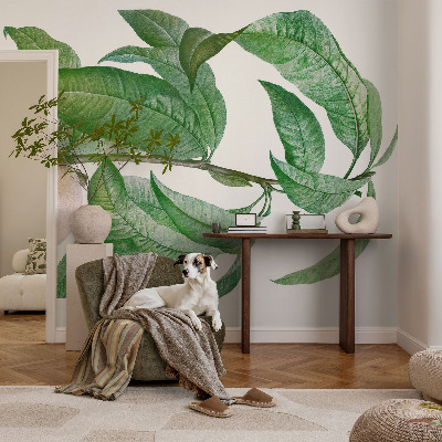 Fototapet barnrum Mogen persika