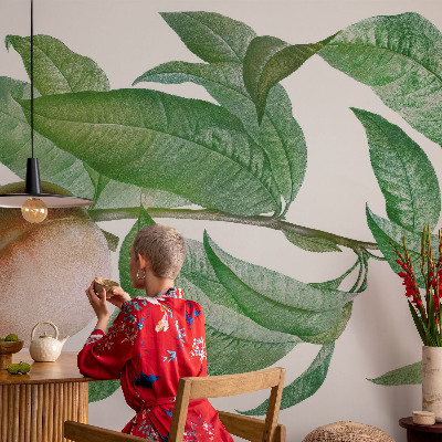 Fototapet barnrum Mogen persika