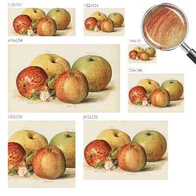 Självhäftande fototapet Äppelblommor