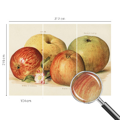 Självhäftande fototapet Äppelblommor