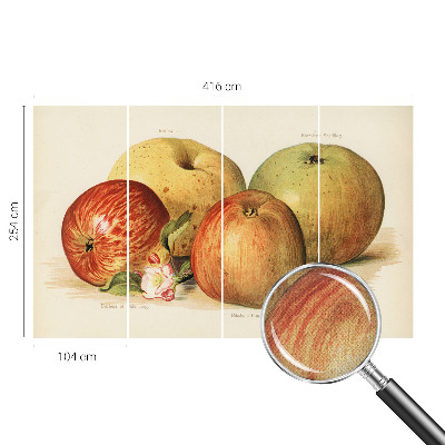 Självhäftande fototapet Äppelblommor