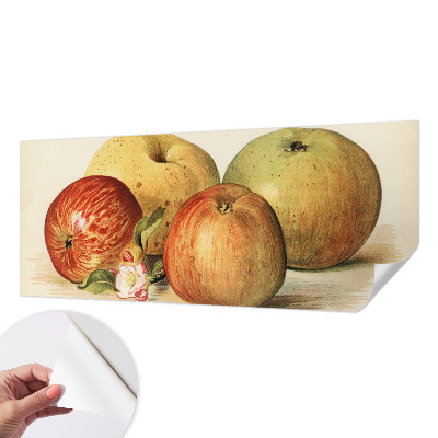 Självhäftande fototapet Äppelblommor