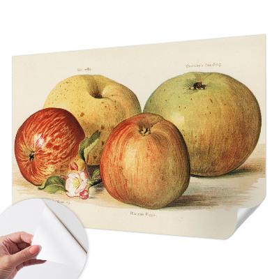 Självhäftande fototapet Äppelblommor