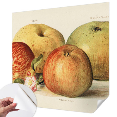 Självhäftande fototapet Äppelblommor