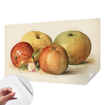 Självhäftande fototapet Äppelblommor