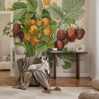 Självhäftande fotovägg Klassiska hallon