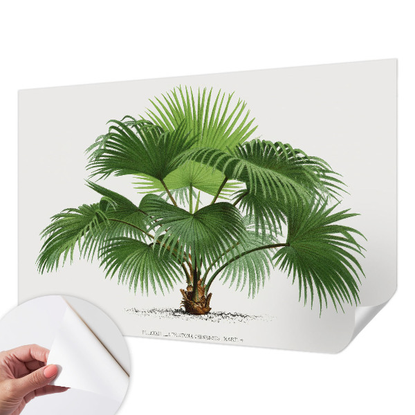 Fototapet för barn med ett exotiskt palmmotiv