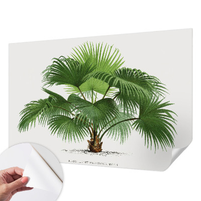 Fototapet för barn med ett exotiskt palmmotiv