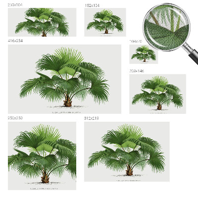 Fototapet för barn med ett exotiskt palmmotiv