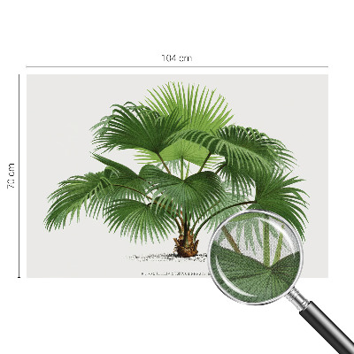Fototapet för barn med ett exotiskt palmmotiv