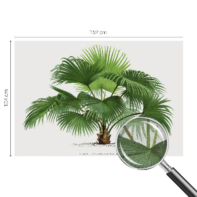 Fototapet för barn med ett exotiskt palmmotiv