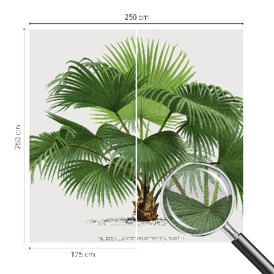 Fototapet för barn med ett exotiskt palmmotiv