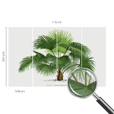 Fototapet för barn med ett exotiskt palmmotiv