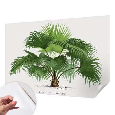 Fototapet för barn med ett exotiskt palmmotiv