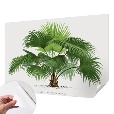 Fototapet för barn med ett exotiskt palmmotiv
