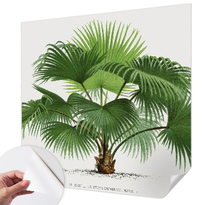 Fototapet för barn med ett exotiskt palmmotiv
