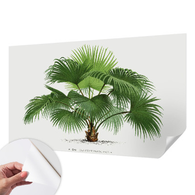 Fototapet för barn med ett exotiskt palmmotiv