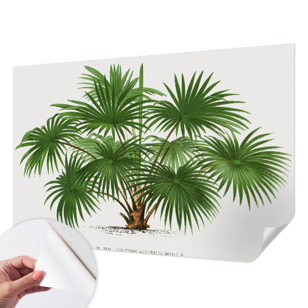 Självhäftande fototapet med ett exotiskt mönster
