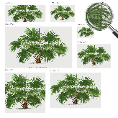 Självhäftande fototapet Exotiskt mönster