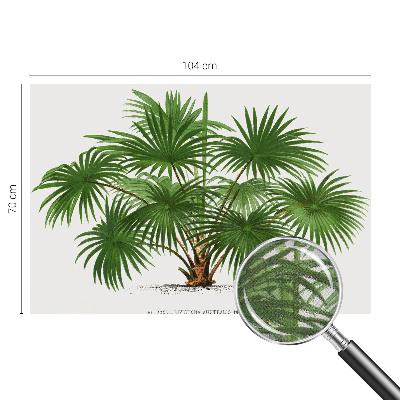 Självhäftande fototapet Exotiskt mönster