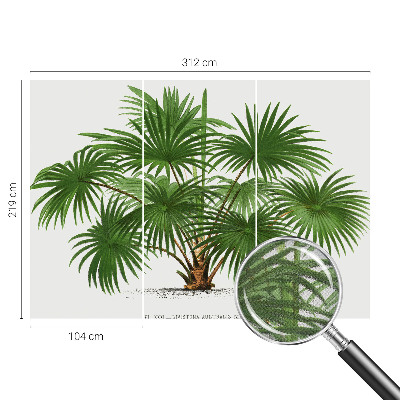 Självhäftande fototapet Exotiskt mönster