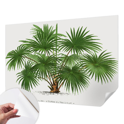 Självhäftande fototapet Exotiskt mönster