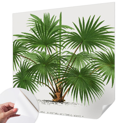Självhäftande fototapet med ett exotiskt mönster