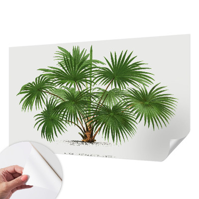 Självhäftande fototapet Exotiskt mönster