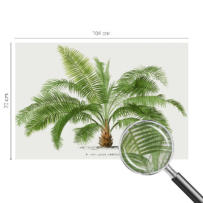 Självhäftande fotovägg med ett glänsande motiv av palmträd