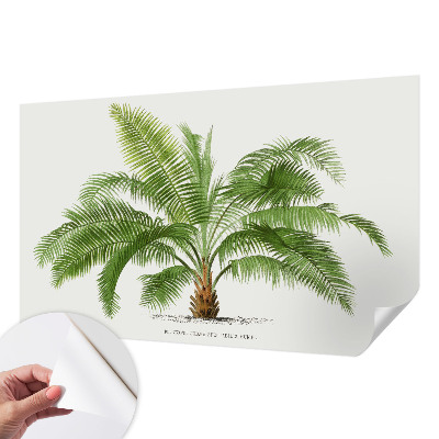 Självhäftande fotovägg med ett glänsande motiv av palmträd