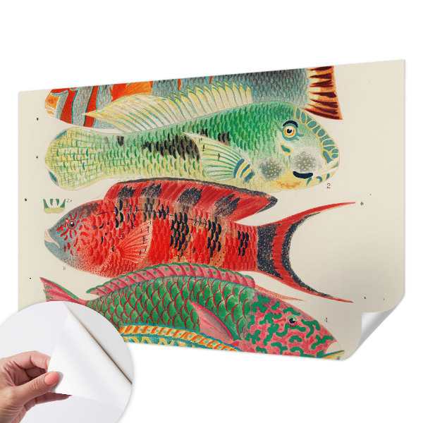 Peel and stick fototapet med motiv av exotiska fiskar