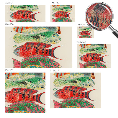 Peel and stick fototapet Exotiska fiskar