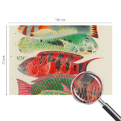 Peel and stick fototapet med motiv av exotiska fiskar
