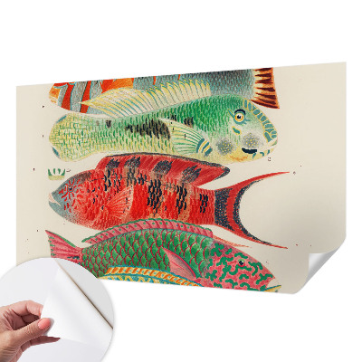 Peel and stick fototapet med motiv av exotiska fiskar