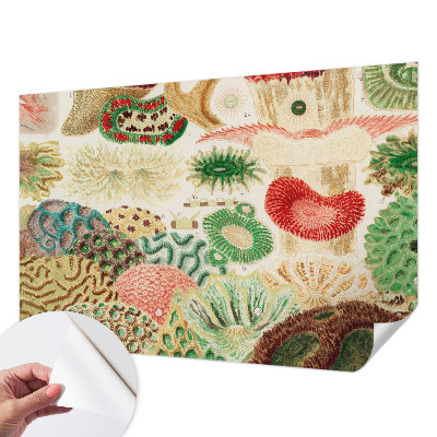 3D fototapet Organiska former