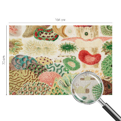 3D fototapet Organiska former