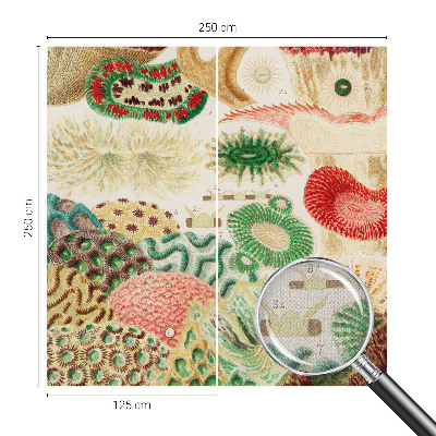 3D fototapet Organiska former