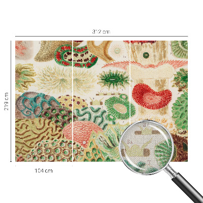 3D fototapet Organiska former